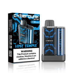 Blue CyberPunk Lost Temple