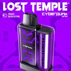 Purple Lost Temple CyberPunk 2