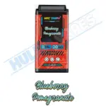 Blueberry Pomegranate by Lost Temple Liquid