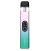 Pink Mint