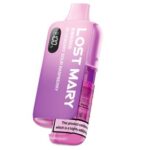 Blueberry Sour Raspberry Lost Mary BM6000 6K Prefilled Pod Kit