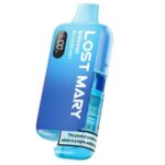 Blueberry Lost Mary BM6000 6K Prefilled Pod Kit