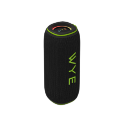 WYE 60W High Fidelity Wireless Speaker