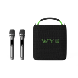 WYE 120W High Fidelity Wireless Speaker